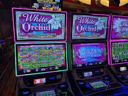 mt5apk Live Casino Lobby